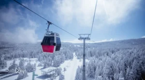 Arkadaşlarla Evde Vakit Geçirmenin En Eğlenceli Yollarından Biri: Masa Oyunları